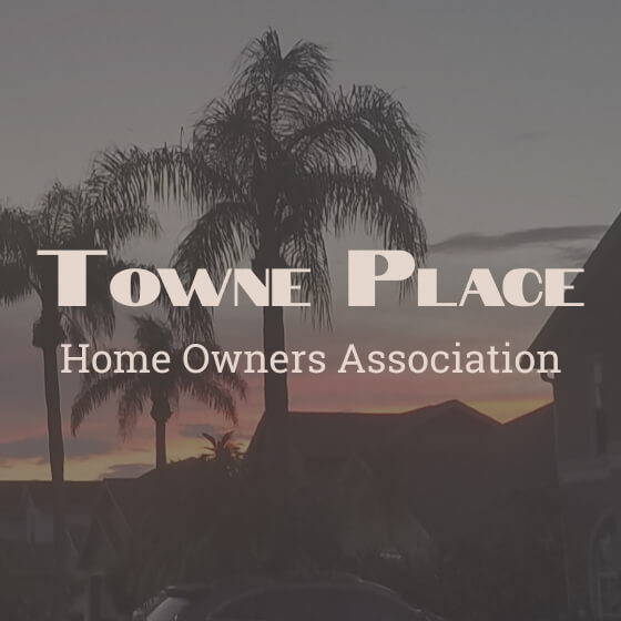 project thumbnail image
