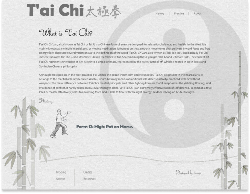 HSNYC | Tai Chi